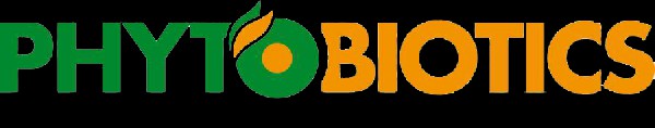 Bild 0001091463560007